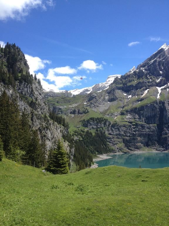 Appartment Chalet Sonnenheim Kandersteg Kültér fotó